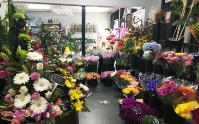 Best Florist in Croydon Fresh Flowers Daily