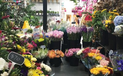 Local Flower Deliveries for Croydon Hills