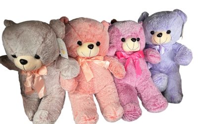 Flowers With A Special Hug Me Bear Soft Toy